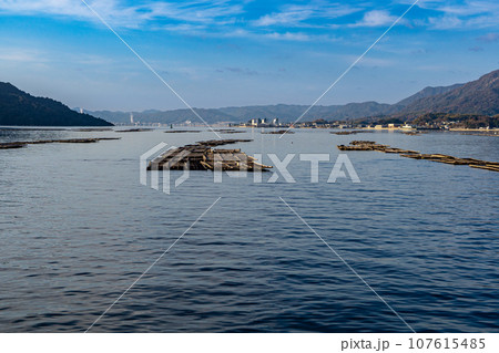 宮島行きフェリーから見たカキ筏と冬晴れの大竹市街1　広島県廿日市市 107615485