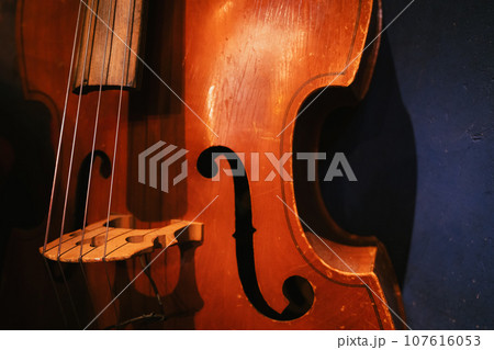 ライブハウスのウッドベース ライブハウスのウッドベース 107616053