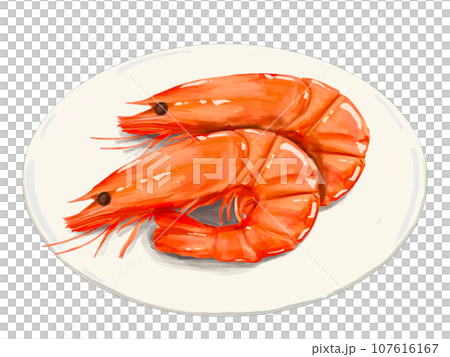 Shrimp Shrimp Shrimp Osechi New Year New Year Happy New Year New Year's Card Lucky Charm Illustration New Year Plate White Plate White Shrimp Shrimp Shrimp Osechi New Year New Year Happy New Year New Year's Card Lucky Charm Illustration New Year Plate White Plate White 107616167