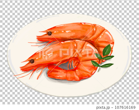 えび　エビ　海老　おせち　正月　お正月　謹賀新年　年賀状　縁起物　イラスト　年賀　木の芽　皿　白皿 107616169