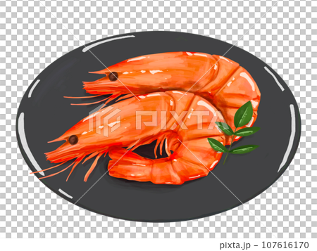 えび　エビ　海老　おせち　正月　お正月　謹賀新年　年賀状　縁起物　イラスト　年賀　木の芽　皿　漆　黒 107616170