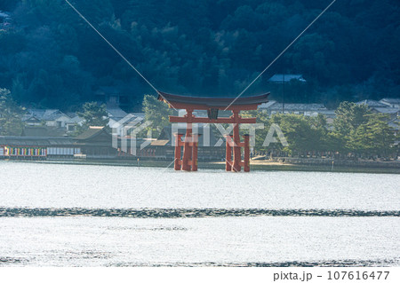 【世界遺産 嚴島神社】【安芸国一宮】宮島行きフェリーから見た新年の朝の大鳥居2 広島県廿日市市 【世界遺産 嚴島神社】【安芸国一宮】宮島行きフェリーから見た新年の朝の大鳥居2 広島県廿日市市 107616477