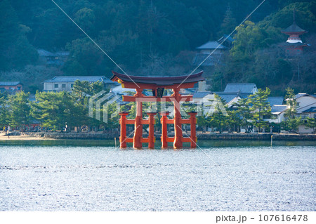 【世界遺産　嚴島神社】【安芸国一宮】宮島行きフェリーから見た新年の朝の大鳥居3　広島県廿日市市 107616478