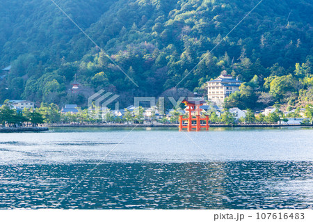 【世界遺産　嚴島神社】【安芸国一宮】宮島行きフェリーから見た新年の朝の大鳥居7　広島県廿日市市 107616483