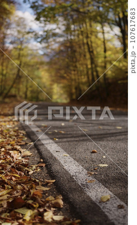 Slow motion handheld shot of autumn forest road 107617683