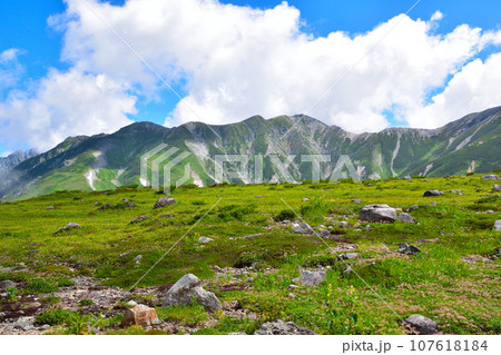 夏 立山連峰 室堂平 夏 立山連峰 室堂平 107618184