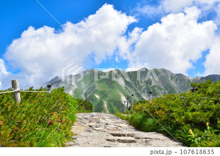 夏 立山連峰 室堂平 夏 立山連峰 室堂平 107618635