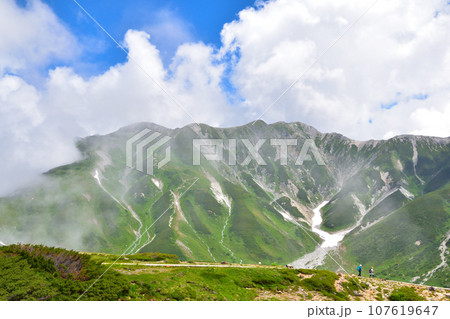 夏　立山連峰　室堂平 107619647