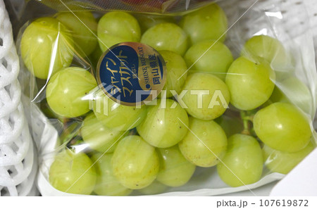 シャインマスカット 107619872