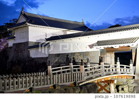 関東地方・小田原城・夜桜・馬屋曲輪から眺める銅門と住吉橋・神奈川県小田原市(2) 107619898