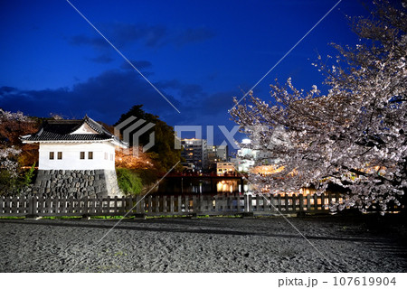関東地方・小田原城・夜桜・馬屋曲輪の眺め、しだれ桜と隅櫓・神奈川県小田原市(1) 107619904