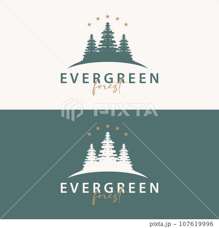 Forest Logo, Vector Forest Wood With Pine Trees, Design Inspirational Badge Label Illustration Forest Logo, Vector Forest Wood With Pine Trees, Design Inspirational Badge Label Illustration 107619996
