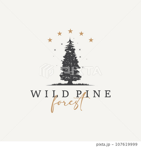 Forest Logo, Vector Forest Wood With Pine Trees, Design Inspirational Badge Label Illustration 107619999