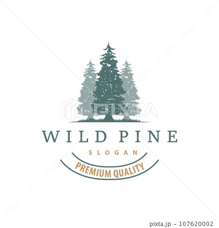 Forest Logo, Vector Forest Wood With Pine Trees, Design Inspirational Badge Label Illustration 107620002
