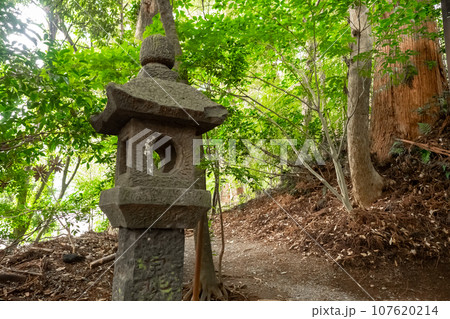 高千穂神社の風景 高千穂神社の風景 107620214
