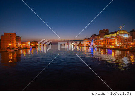 幣舞橋の夜景 107621308