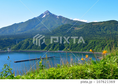 利尻島　鴛泊港 107621369