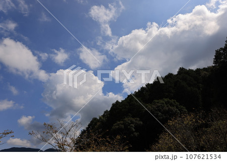 空　0218 107621534