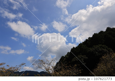 空　0228 107621773