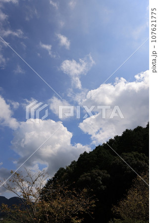 空　0229 107621775