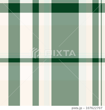Check plaid pattern of textile vector tartan with a background seamless fabric texture. 107622707
