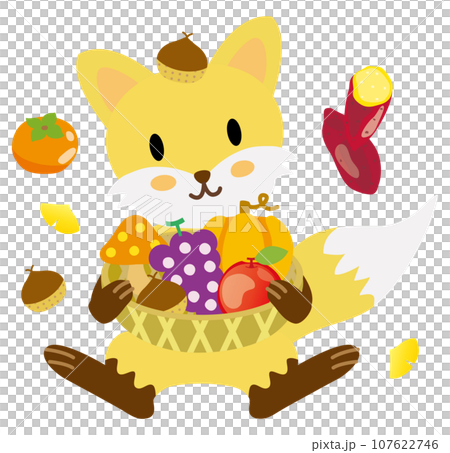 A cute forest fox rejoices in the autumn harvest A cute forest fox rejoices in the autumn harvest 107622746