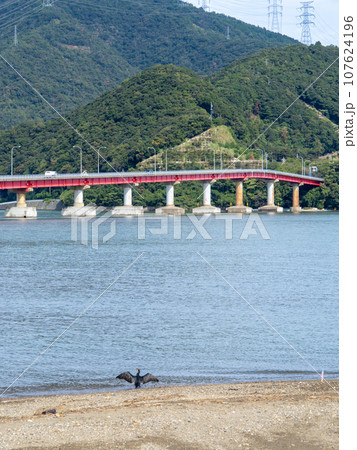 青戸の大橋(国道27号と大島半島の犬見崎を結ぶ橋)と小浜湾。福井県大飯郡おおい町。(縦構図) 107624196