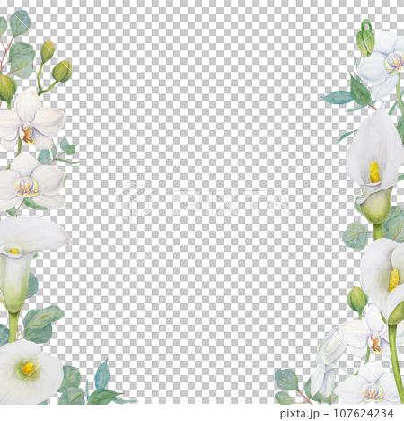 Watercolor frame of white calla lily flowers and eucalyptus. Hand drawn floral illustration for wedding invitations, floristic, beauty salon. Isolated tropical water arum for greeting 107624234