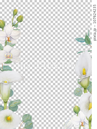 Watercolor frame of white calla lily flowers and eucalyptus. Hand drawn floral illustration for wedding invitations, floristic, beauty salon. Isolated tropical water arum for greeting 107624235