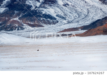 Beautiful Mongolian winter landscape snow mountain with a small figure of a rider on a black horse galloping through a wide snow-covered valley against the backdrop of high mountains. 107624267
