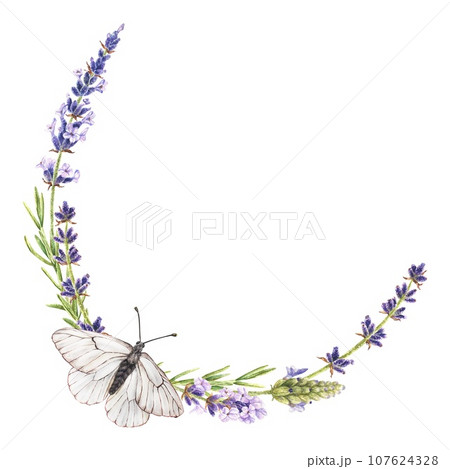 Lavender Wreath with butterfly. Watercolor botanical illustration of purple Flower. Hand drawn round frame border on isolated white background. Template for card with copy space. Water color painting Lavender Wreath with butterfly. Watercolor botanical illustration of purple Flower. Hand drawn round frame border on isolated white background. Template for card with copy space. Water color painting 107624328