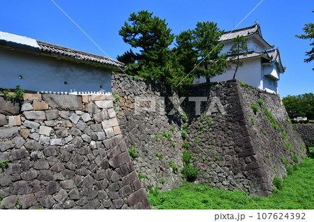 名古屋城08 東南隅櫓 107624392