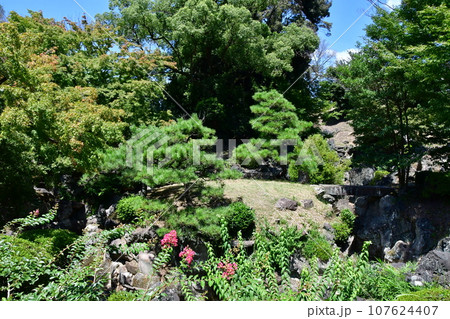 名古屋城20 二の丸庭園 107624407