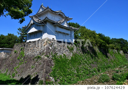 名古屋城39 東南隅櫓 名古屋城39 東南隅櫓 107624429