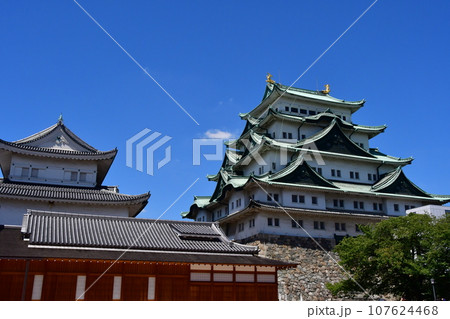 名古屋城71 大天守、小天守 107624468