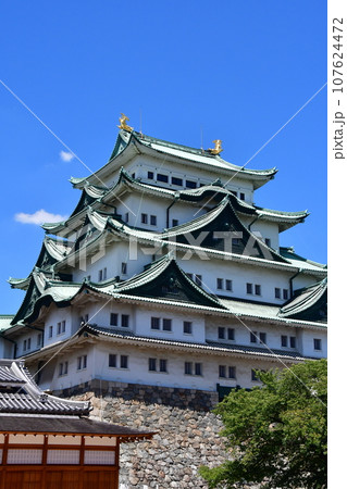 名古屋城74 大天守 107624472