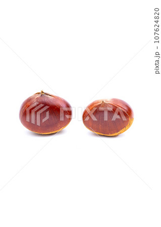 秋 栗 銀寄 能勢 能勢栗 銀寄栗 秋の味覚  107624820