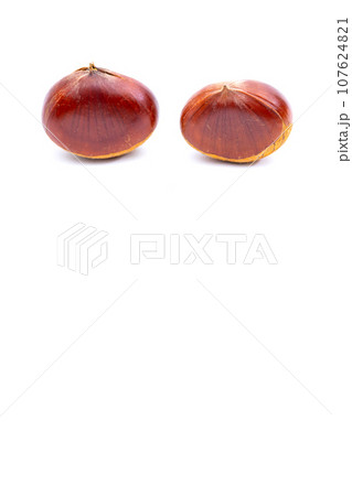秋 栗 銀寄 能勢 能勢栗 銀寄栗 秋の味覚 秋 栗 銀寄 能勢 能勢栗 銀寄栗 秋の味覚 107624821