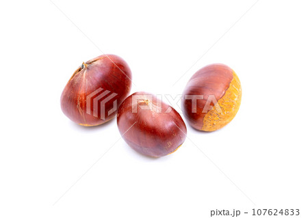 秋 栗 銀寄 能勢 能勢栗 銀寄栗 秋の味覚 秋 栗 銀寄 能勢 能勢栗 銀寄栗 秋の味覚 107624833