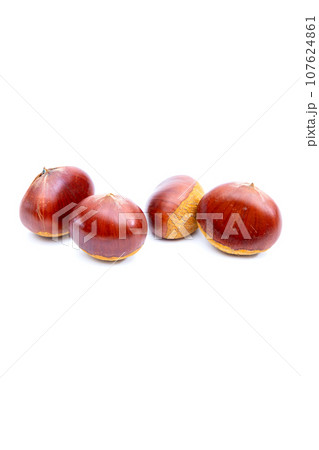 秋 栗 銀寄 能勢 能勢栗 銀寄栗 秋の味覚 秋 栗 銀寄 能勢 能勢栗 銀寄栗 秋の味覚 107624861