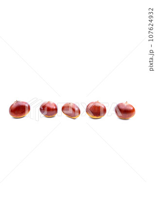 秋 栗 銀寄 能勢 能勢栗 銀寄栗 秋の味覚  107624932