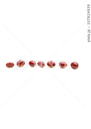 秋 栗 銀寄 能勢 能勢栗 銀寄栗 秋の味覚  107624939