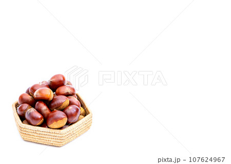 秋 栗 銀寄 能勢 能勢栗 銀寄栗 秋の味覚 秋 栗 銀寄 能勢 能勢栗 銀寄栗 秋の味覚 107624967