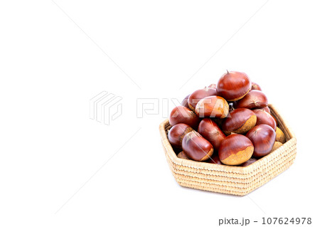 秋 栗 銀寄 能勢 能勢栗 銀寄栗 秋の味覚 秋 栗 銀寄 能勢 能勢栗 銀寄栗 秋の味覚 107624978
