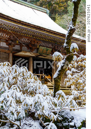 【奈良県】宇陀市 室生寺 (2022/02/16撮影) 107625041