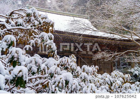【奈良県】宇陀市 室生寺 (2022/02/16撮影) 107625042