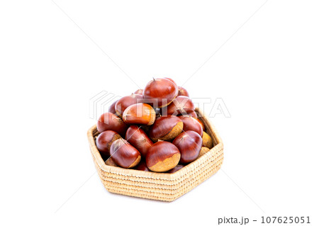 秋 栗 銀寄 能勢 能勢栗 銀寄栗 秋の味覚 秋 栗 銀寄 能勢 能勢栗 銀寄栗 秋の味覚 107625051