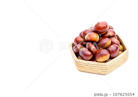 秋 栗 銀寄 能勢 能勢栗 銀寄栗 秋の味覚 秋 栗 銀寄 能勢 能勢栗 銀寄栗 秋の味覚 107625054