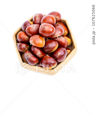 秋 栗 銀寄 能勢 能勢栗 銀寄栗 秋の味覚  107625066