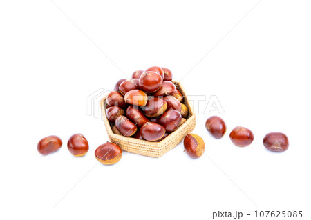 秋 栗 銀寄 能勢 能勢栗 銀寄栗 秋の味覚 秋 栗 銀寄 能勢 能勢栗 銀寄栗 秋の味覚 107625085